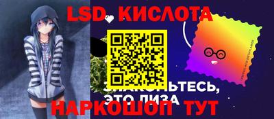 дмт Гай