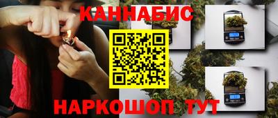 дмт Гай