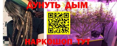 дмт Гай