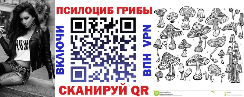 MEGA маркетплейс  Новошахтинск  Галлюциногенные грибы Cubensis 