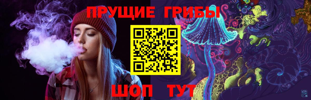 Псилоцибиновые грибы MAGIC MUSHROOMS  Вход с VPN  где продают наркотики  Псилоцибиновые грибы Psilocybe  Новошахтинск 